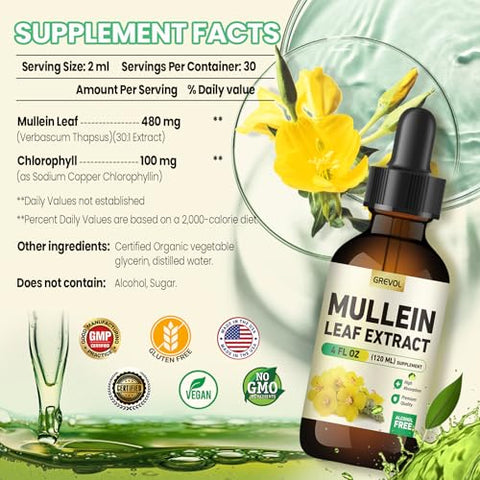 Grevol - Gotas de Verbascum para Suplemento Pulmonar: Extrato de Folha de Verbascum Orgânico 30:1 em Tintura com Clorofila – Suporte Herbal para Limpeza Pulmonar
