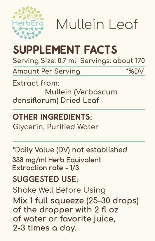 HerbEra - Extrato Herbal de Folha de Verbasco Densiflorum B120, Tintura sem Álcool, Super Concentrado (120 ml)