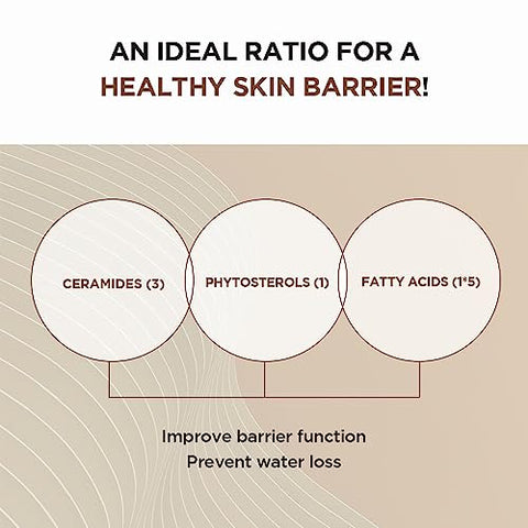 Ampola Intensiva Madagascar Centella Probio-Cica (95ml) - SKIN1004