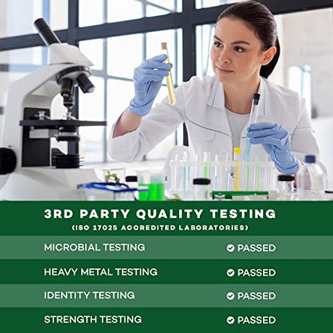 Nature's Renewal - Nature’s Renewal – Extrato de Raiz de Cúrcuma Orgânica em Pó com Gengibre – Suporte para Articulações, Curcumina Padronizada a 95%% com Pimenta Preta Bioperina – 60g