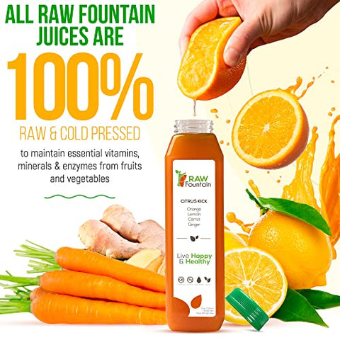 3 Day Juice Cleanse Raw Fountain – Detox Natural Líquido, Dietas de Suco, Sucos de Frutas e Vegetais, Energizante e Saboroso, 18 Garrafas 350ml, 3 Gengibre