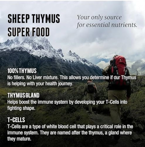 One Earth Health - Thymus Grass Fed da Nova Zelândia – 3.000mg por Porção, 200 Unidades – Marca em Destaque