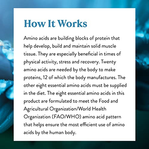 Nature's Sunshine - Nature’s Sunshine Aminoácidos Livres, 60 Comprimidos | Ajuda no Desenvolvimento, Construção e Manutenção do Tecido Muscular, Fortalecendo e Aumentando a Resistência Muscular