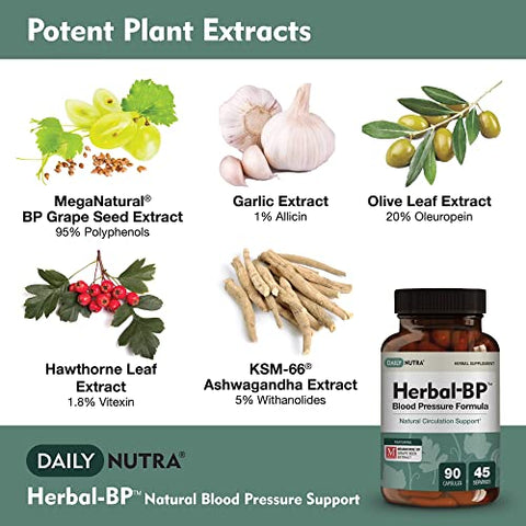 DailyNutra - Herbal-BP: Suplemento Natural para Pressão Arterial | Extrato de Semente de Uva, Alho, Espinheiro, Folha de Oliveira | Saúde Circulatória