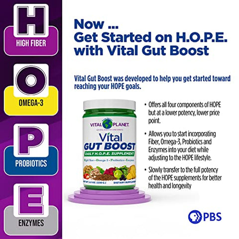 Vital Gut Boost Powder by Brenda Watson: Suplemento Gut Check Hope com Fibra 35, Óleo de Ômega 3, Probióticos e Enzimas Digestivas, 230g, 30 Porções - Vital Planet