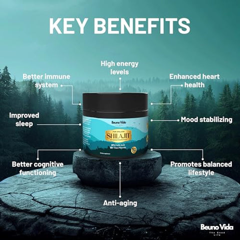 BEUNO VIDA - Resina Orgânica de Shilajit do Himalaia Puro – 87 Minerais Traços, 67% Ácido Fúlvico, Não-OGM, Vegano – Aumenta Energia, Vitalidade, Desempenho