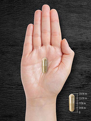 Pygeum Africanum Bark | 200 Cápsulas | Extrato de Alta Potência | Livre de Transgênicos e Glúten  Carlyle - Carlyle