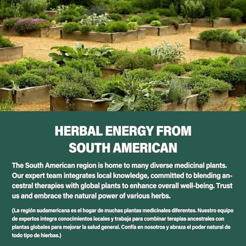 Fuenvegtal - Cápsulas de Melão Amargo, Suplemento de Folhas de Pé de Vaca – Fórmula Avançada de Cápsulas de Berberina com Canela do Ceilão – Suporte à Saúde Herbal Natural com Extrato de Wereke. 180 Unidades