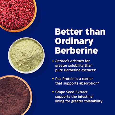 Berberine Phytosome: Potente Fórmula Natural para Saúde Digestiva e Metabólica – 60 Cápsulas - Enzymedica