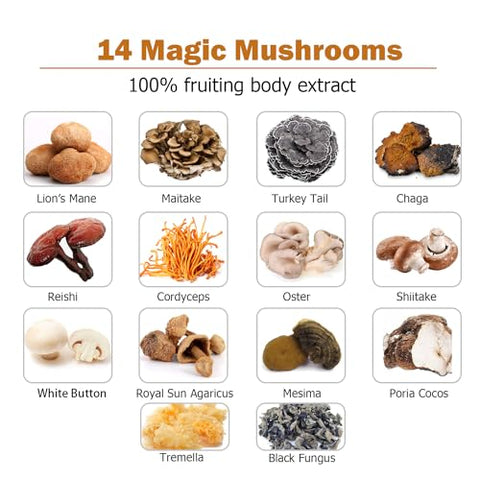 ECO-TASTE - Suplemento 14 Cogumelos 120 Cápsulas – Impulsionador do Sistema Imunológico