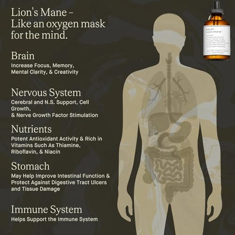 Generic - Extrato Líquido de Cogumelo do Leão – Suplemento Natural de Cogumelo de Frutificação Duplamente Extraído para Clareza Mental, Função Cerebral, Memória, Regeneração Celular e Criatividade