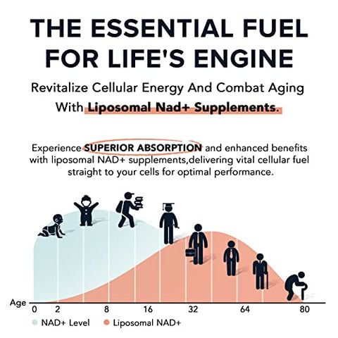 Fabamax - Suplemento Liposomal NAD 1600 mg, 98% Puro, Absorção Superior, Alternativa ao Nicotinamida Ribosídeo ou NADH para Impulsionar a Defesa contra o Envelhecimento, Energia