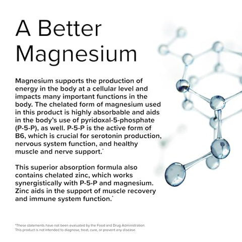 BioActive Magnesium Complex – 120 Cápsulas – com Vitamina B6 | Complexo de Magnésio Bioativo - Terry Naturally