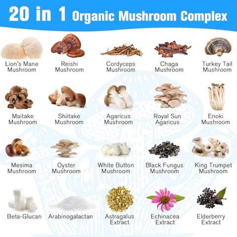 Dmeisy - Suplemento de Cogumelo 2600mg, Complexo de 20 Cogumelos, com Leão da Montanha, Cordyceps, Reishi, Cauda de Peru, Chaga – Suplementos para Memória e Concentração, Humor