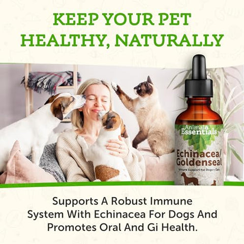 Echinacea Goldenseal – Fórmula Herbal para Cães e Gatos, Suporte Imunológico, Ervas 100% Orgânicas, Recomendado por Veterinários – 30 ml - Animal Essentials