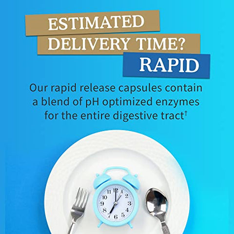 21 Poderosas Enzimas Digestivas com Papaína, Bromelina, Lipase, Gengibre, Cúrcuma para Digestão Completa de Proteínas e Carboidratos – 100% Eficiente - Garden of Life