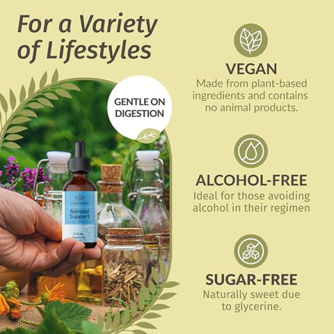 Gotas de Suporte Adrenal com Ashwagandha Pura e Extratos de Rhodiola Rosea para Energia Vegana – Álcool – 30ml - HERBAMAMA