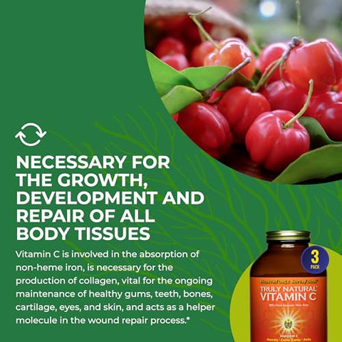 HEALTHFORCE SUPERFOODS - HealthForce SuperFoods – Vitamina C Natural com Camu Camu – Suporte Imunológico – Vegano, Não-OGM – 400g, 67 Porções