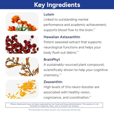 Power Phenols – Suplemento para Saúde Cerebral: Cognição, Foco, Motivação, Produtividade e Energia – (30 Porções) - Gundry MD