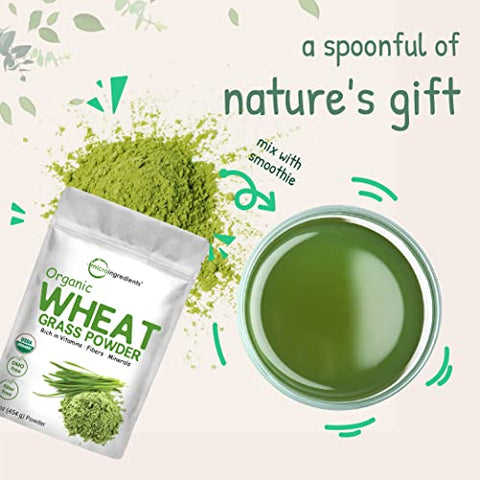 Pó de Grama de Trigo Orgânico 454g | Rico em Vitaminas, Fibras e Minerais | Suporte à Função Digestiva | Vegano - Micro Ingredients