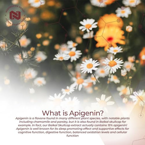Cápsulas de Apigenina | 200mg | 120 Unidades | >98%% Apigenina | Suporta Níveis Saudáveis de Estresse - Nootropics Depot