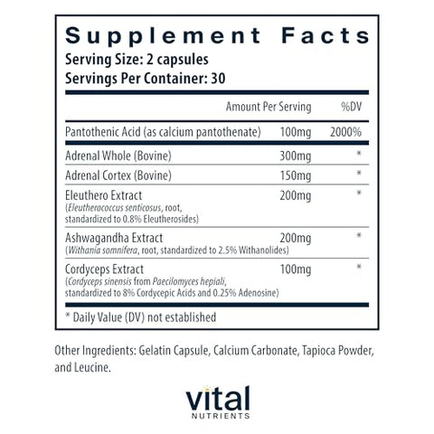 Adrenal Support | Suplementos para Suporte das Glândulas e Gerenciamento do Cortisol | Energia e Níveis de Estresse | Livre de Glúten, Laticínios e Soja | 60 Cápsulas - Vital Nutrients
