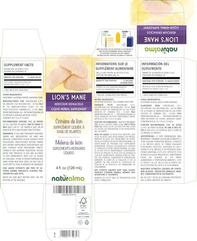 Lion’s Mane (Hericium erinaceus) – Tintura sem álcool de cogumelo – 118 ml Extrato líquido em gotas – Vegano - Naturalma
