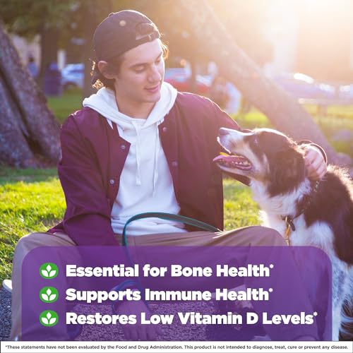 Suplemento de Vitamina D3 2.000 UI de Dissolução Rápida para Saúde Óssea e Articular – Suporte Ósseo – 90 Comprimidos – Fornecimento de 90 Dias - Natrol