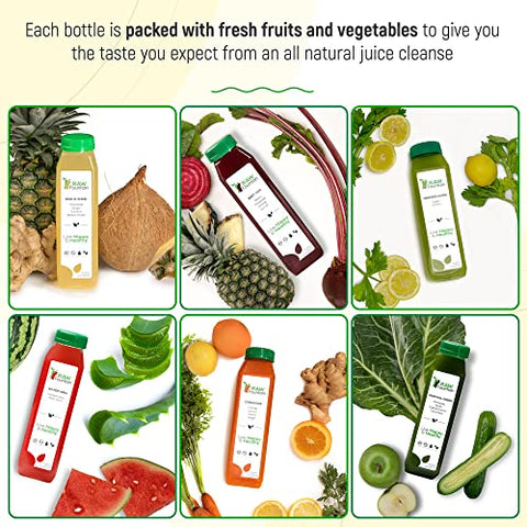 3 Day Juice Cleanse Raw Fountain – Sabores Tropicais, Sucos Naturais e Preparados a Frio de Frutas e Vegetais, Desintoxicação, 18 Garrafas 355ml, 3 Shots de Gengibre Extra