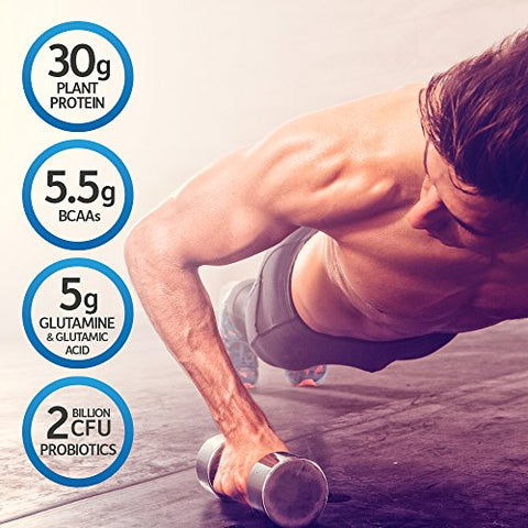 Proteína em Pó Vegana Orgânica para Esportes, Sabor Baunilha – 500g - Garden of Life