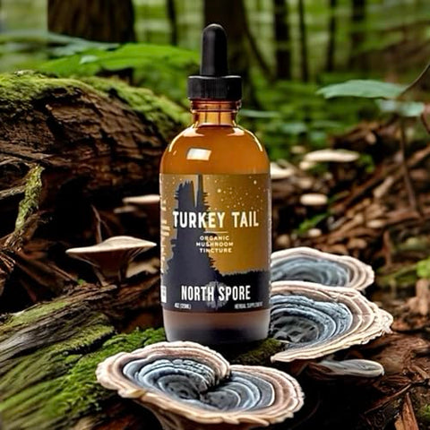 Tintura de Cogumelo do Peru Orgânico | Suplemento de Cogumelo para Fortalecimento Imunológico | Cultivo Sustentável | 30ml - North Spore