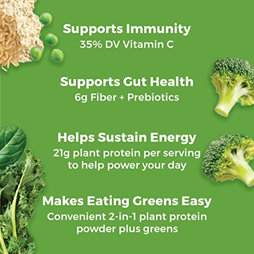 Proteína em Pó Vegana Orgânica, Sabor Baunilha – 21g Proteína à Base de Plantas, 6g Fibra Prebiótica para Saúde Intestinal, Sem Glúten, Sem Ingredientes Lácteos, Sem Adição de Açúcar - Orgain
