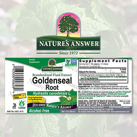 Nature's Answer - Nature’s Answer Goldenseal Root | Suplemento Herbal | Suporte a um Sistema Imunológico Saudável | Sem Glúten | Marca Nature’s Answer