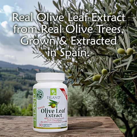 Island Nutrition - Extrato de Folha de Oliveira em Cápsulas – 25%% Oleuropeína (40%% Polifenóis Totais), Mais Complexo de 20%% de Hidroxitirosol – 100%% Cultivado