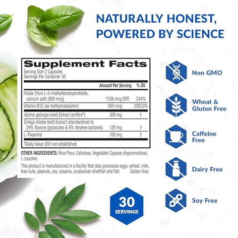 Brain Bright – Impulsionador Diário de Nootrópicos para Foco, Concentração, Clareza Mental – Suplemento de Suporte Cerebral Livre de Cafeína – Gengibre Tailandês, Ginkgo, Folate, 60 cápsulas de 500mg - BioTrust