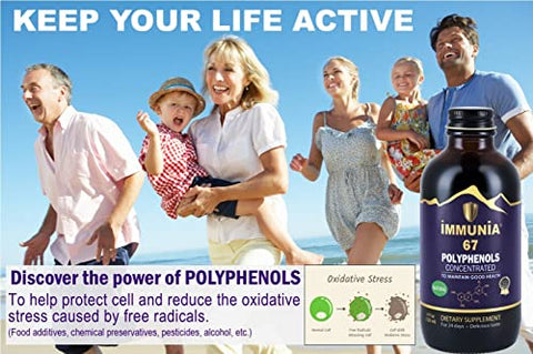 67 polifenóis. Concentrado de Sabugueiro com Mirtilo Silvestre. Suplemento Antioxidante. Concentrado de 67 polifenóis (Antocianinas, Quercetinas, Resveratrols, etc.) 24g - Immunia