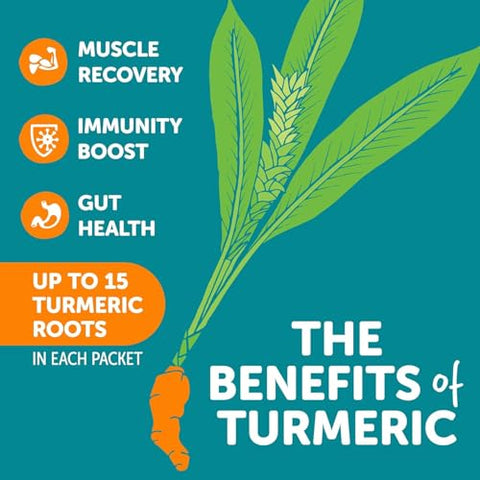 Pó de Cúrcuma, Mistura de Bebida Eletrolítica em Pacotes de Hidratação 32 Porções | Manga Romã | Pó de Eletrólitos Saudável com Cúrcuma, Vitamina C, Zinco - ZYN