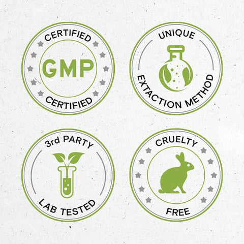 Secrets of the Tribe - Segredos da Tribo Bacopa Orgânica USDA | Extrato Livre de Álcool, Gotas Herbais de Alta Potência | Feito com Bacopa Orgânica Certificada (Bacopa Monnieri) Erva Seca (2×4 g)