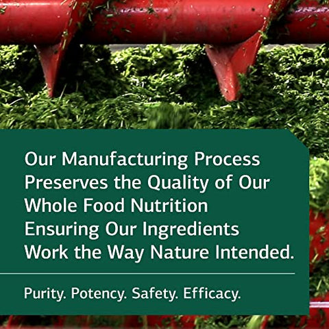 Standard Process Inc. - Standard Process C Synergy – Suporte Imunológico e Antioxidante com Echinacea Purpurea, Rose HIPS, Shiitake, Reishi Mushroom Powder, Trigo Sarraceno e Germen de Trigo – 90 Comprimidos