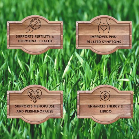 Suplemento Feminino Primal Being Grassfed Beef – Suporte para Saúde Hormonal, Fertilidade, Inflamação e Energia – 90 Cápsulas, 1500mg por Porção