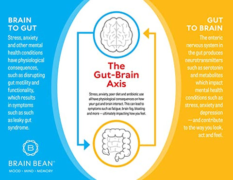 Brain Bean - Brain Basics Ultra Pure IgG – Suplemento em Pó IgG-Immunolin Livre de Laticínios, Vitamina em Pó