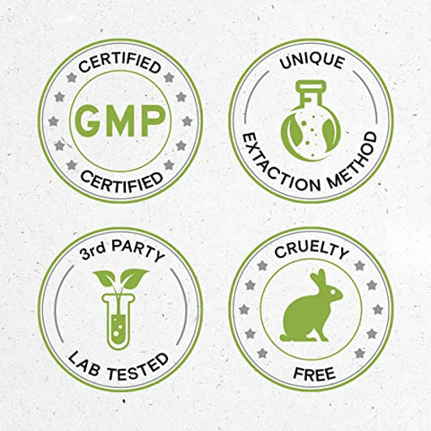 Secrets of the Tribe - Segredos da Tribo – Mistura de Cogumelos, Fórmula de Suporte Imunológico, Extrato Líquido Sem Álcool (120 ml)