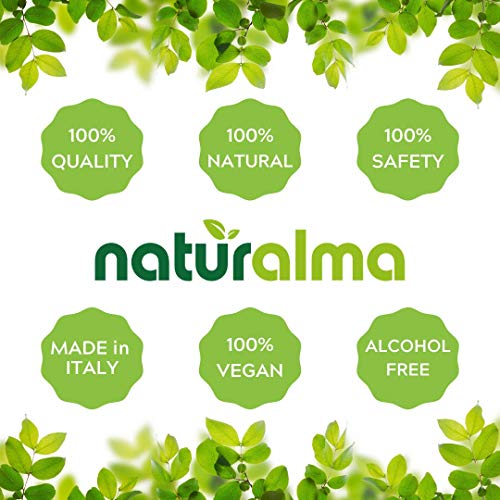 Royal Sun Agaricus ou Cogumelo Amêndoa (Agaricus blazei ou A. subrufescens) Tintura sem Álcool – Extrato Líquido em Gotas 120 ml – Suplemento Herbal – Vegano - Naturalma