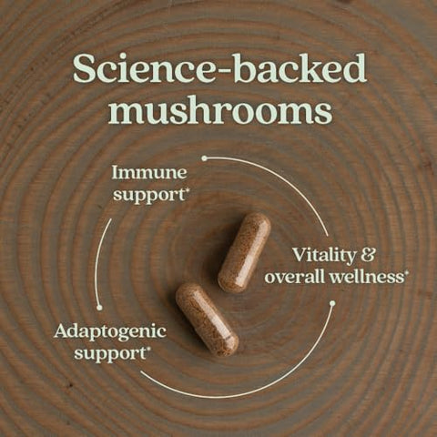 LifeShield Suporte Imunológico com Reishi Orgânico – Vegano, Não-OGM, Ingredientes Nootrópicos – 60 ct - New Chapter