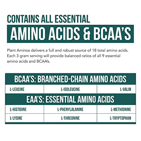 Triquetra Health - Plant Aminos – Aminoácidos Essenciais Orgânicos (EAAs) – 100% Natural e Potente
