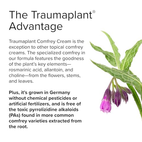 Creme de Confrei Terry Naturally Traumaplant – 50g – Tópico Botânico Não Mancha – Livre de Alcaloides Pirrolizidínicos Tóxicos (PAs)