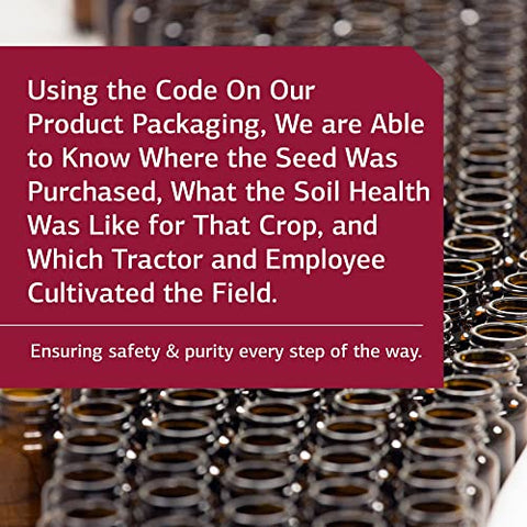Standard Process Inc. - Standard Process A-C Carbamide – Suplemento de Suporte Renal sem Glúten com Vitamina A, Vitamina C e Farinha de Arrowroot – 270 Cápsulas