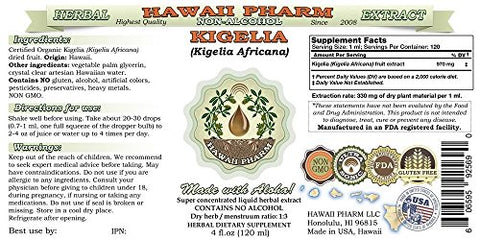 Kigelia Africana Extrato Líquido Sem Álcool, Glicerito de Fruta Seca de Kigelia – Hawaii Pharm 2×4 oz (118 ml)