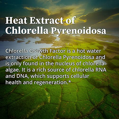 Chlorella Growth Factor Líquido – Superfood Nutracêutico Rico em Nutrientes, Proteínas, Vitaminas e Minerais – 100% Natural e Poderoso - BioPure