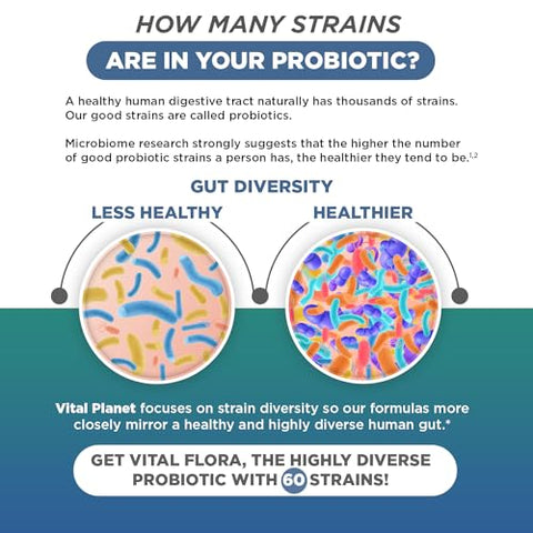 Probiótico Diário para Homens, 60 Bilhões de UFC, 60 Cepas Diversas, 7 Prebióticos Orgânicos, Suporte Imunológico, Alívio de Gases, Saúde Digestiva – Vital Flora - Vital Planet